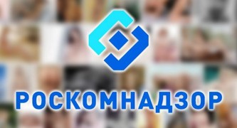 Роскомнадзор встал на защиту российских СМИ