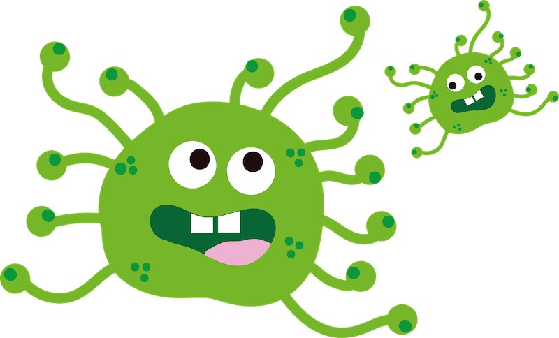 Эксперты призывают не паниковать из-за коронавируса