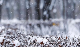 В Москве ожидается снег при температуре -1-3 градусов