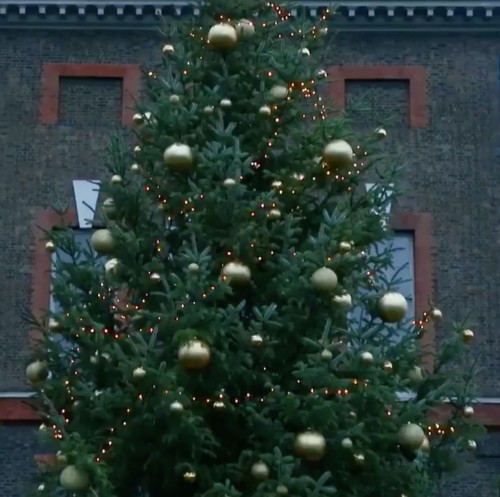 kensington-palace-christmas-tree-2018-2-1544481665[1]