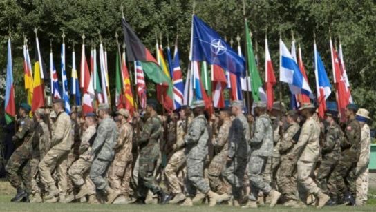 НАТО будет дразнить и провоцировать Россию из Прибалтики