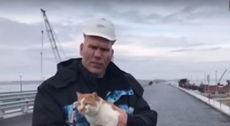 Валуев проехал с котом по Крымскому мосту