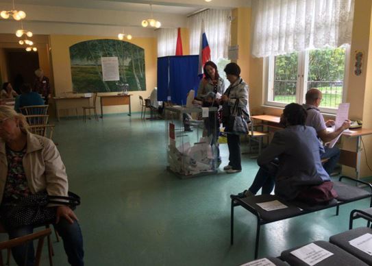 Проамериканский «Голос» фальсифицирует нарушения на выборах в Петербурге
