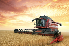 Bloomberg: Россия обеспечит пшеницей весь мир