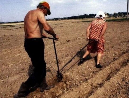 На Украине началось восстание аграриев