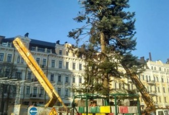 В Киеве установили самую лысую новогоднюю елку